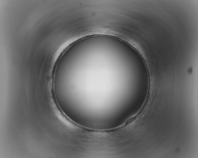 X0000112101136200908111411