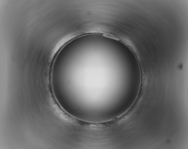 X0000112101138200908111411