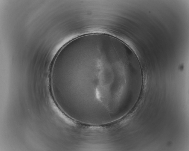 X0000112101142200908111411