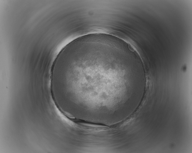 X0000112101143200908111411