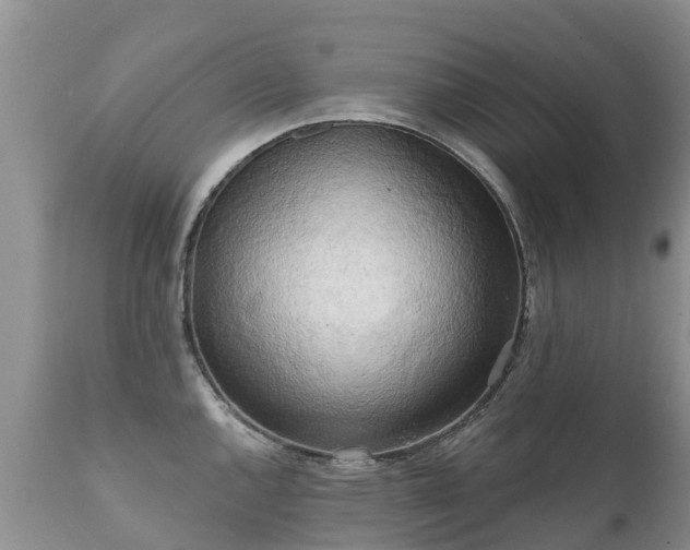 X0000112101144200908111411