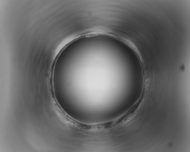 X0000112101146200908111411