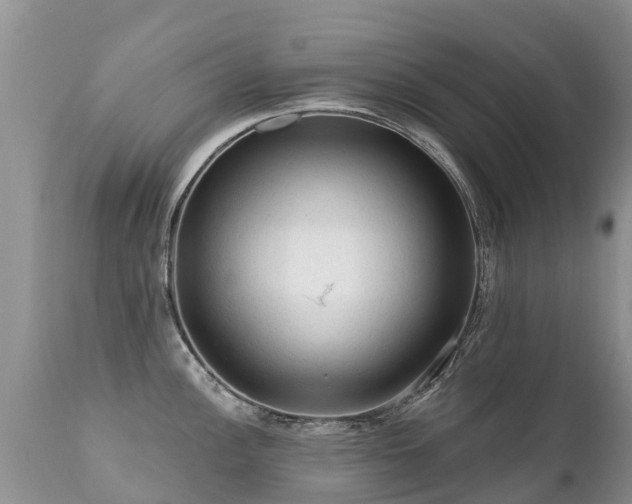 X0000112101148200908111411