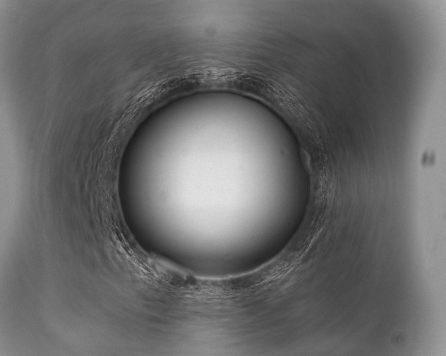 X0000112101153200908111410