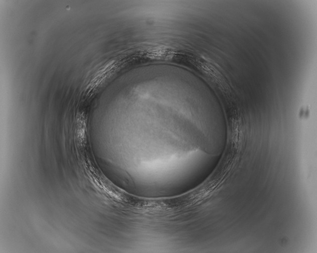 X0000112101154200908111410