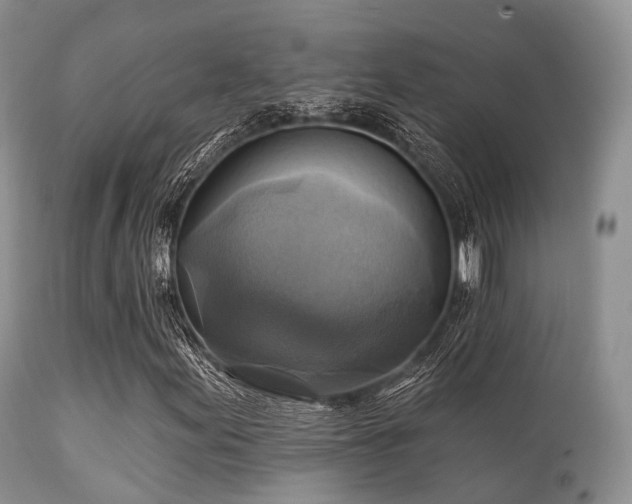 X0000112101155200908111410