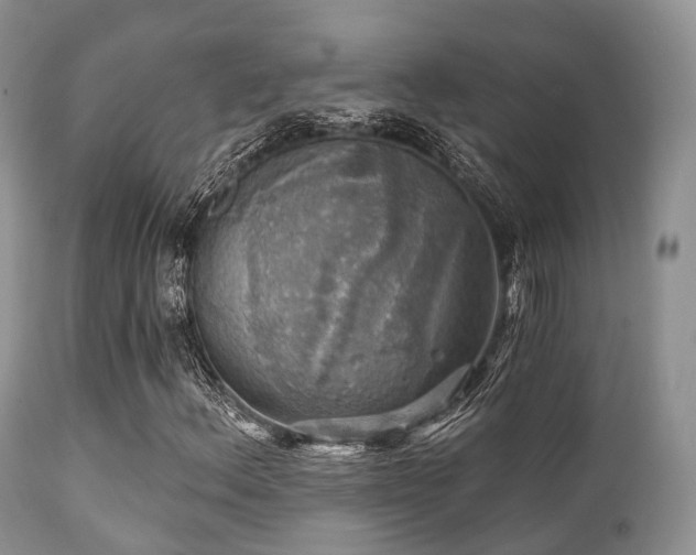 X0000112101156200908111410