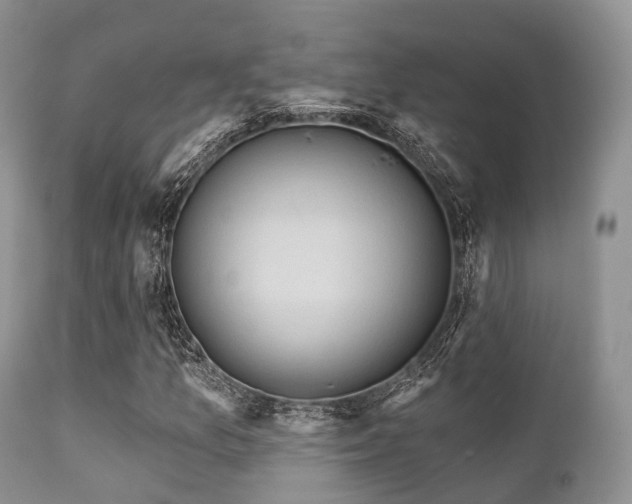 X0000112101157200908111410