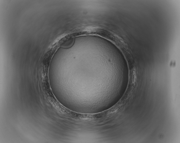 X0000112101158200908111410