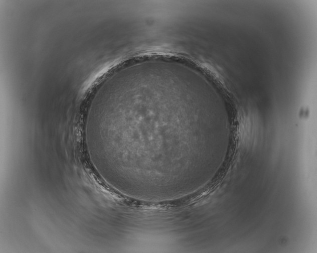 X0000112101159200908111410