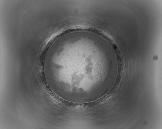X0000112101160200908111410