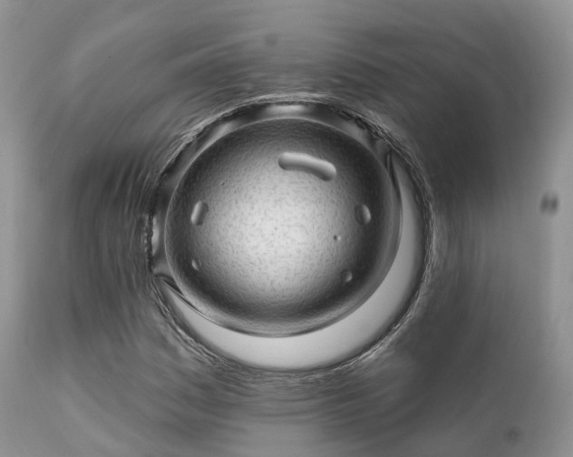 X0000112101161200908111410