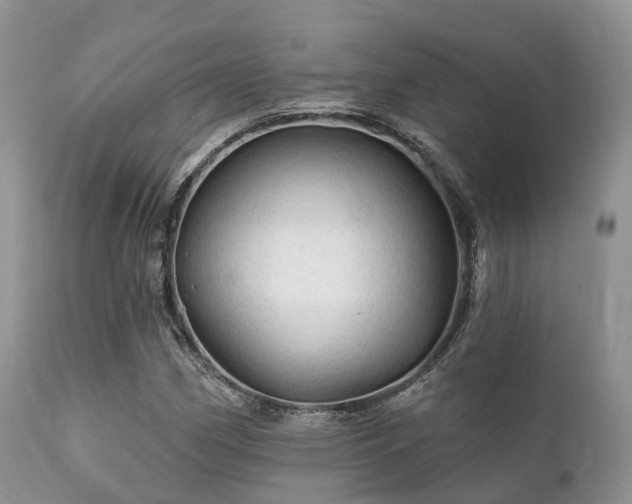 X0000112101162200908111410