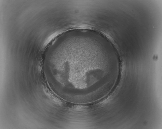 X0000112101163200908111410