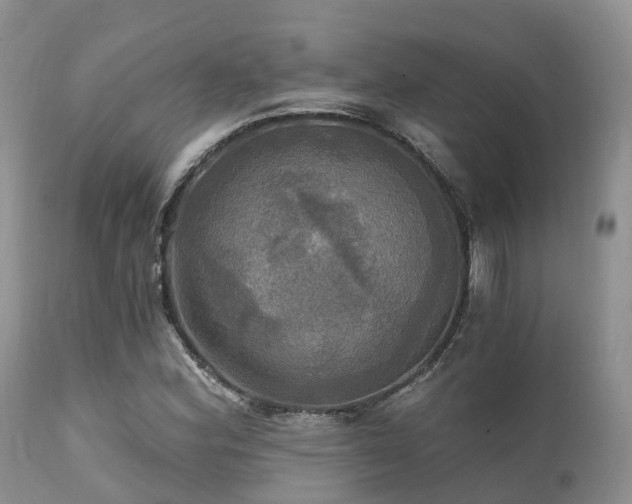 X0000112101164200908111410