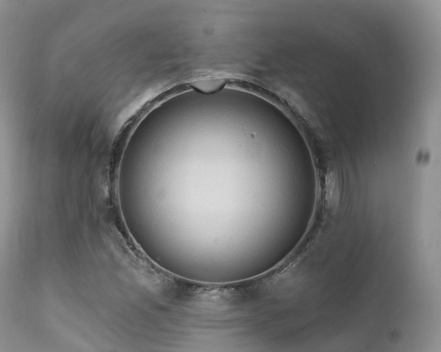 X0000112101165200908111410