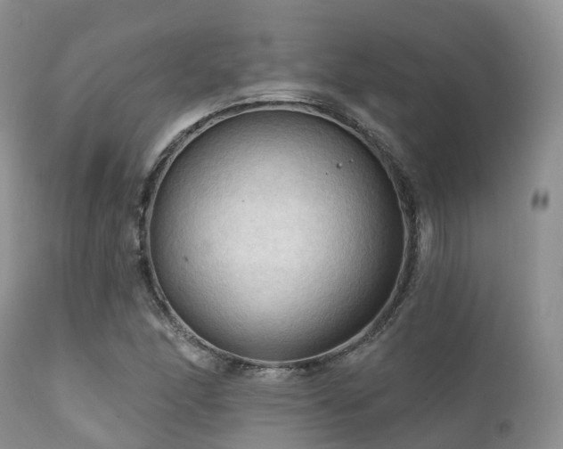 X0000112101166200908111410