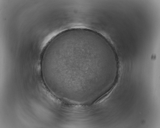 X0000112101167200908111410