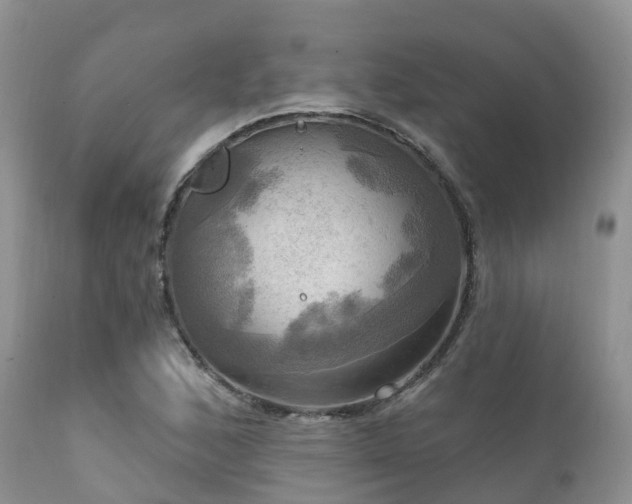 X0000112101168200908111410