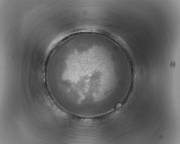 X0000112101172200908111410