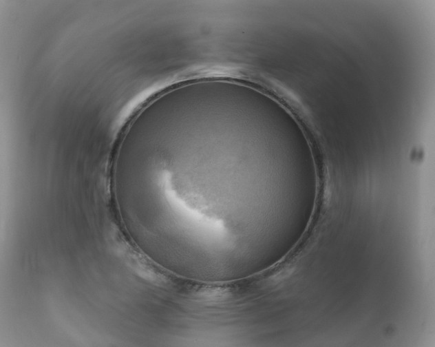 X0000112101174200908111410