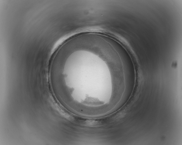 X0000112101176200908111410
