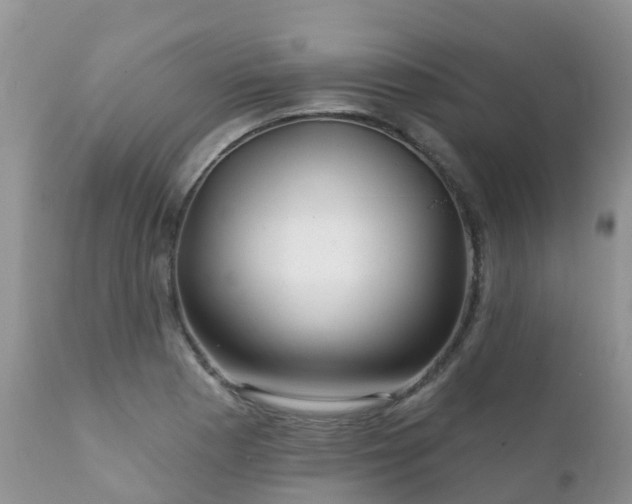 X0000112101177200908111410