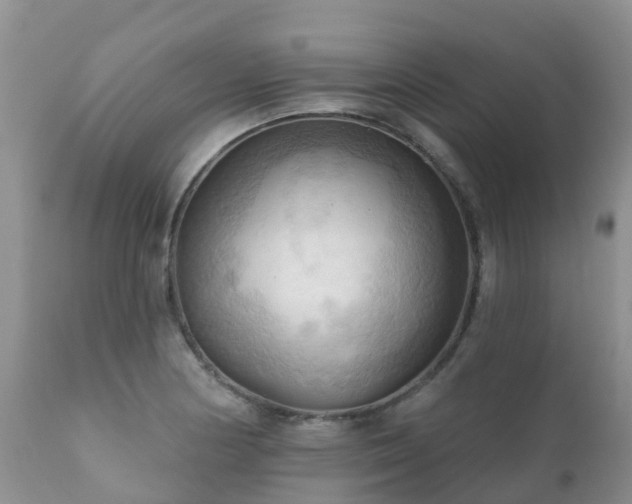 X0000112101178200908111410