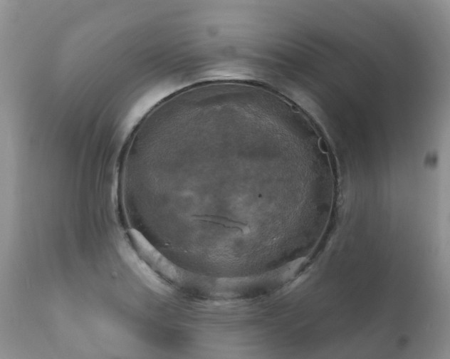 X0000112101179200908111410