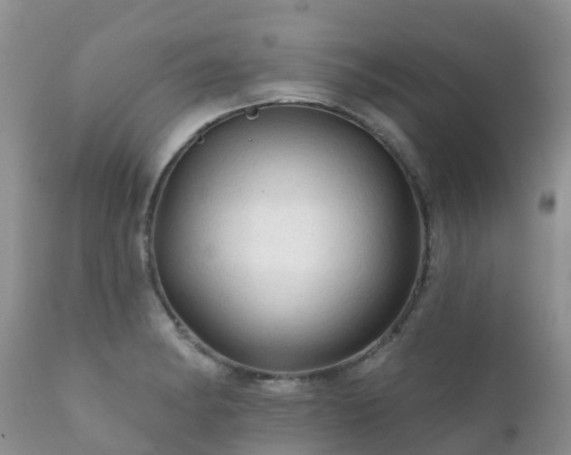 X0000112101182200908111410