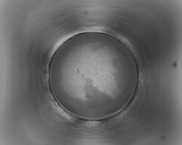 X0000112101184200908111410