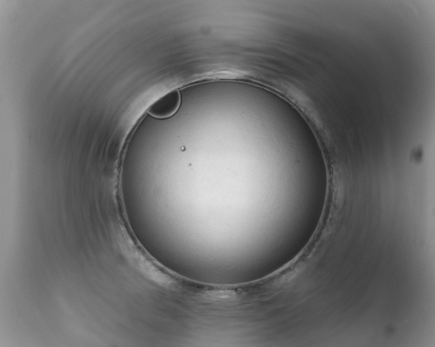 X0000112101186200908111410