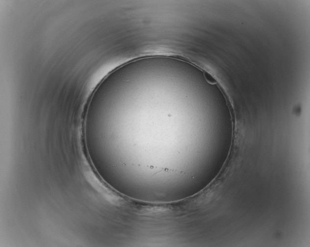 X0000112101187200908111410