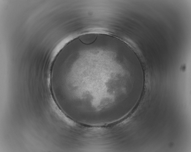 X0000112101188200908111410