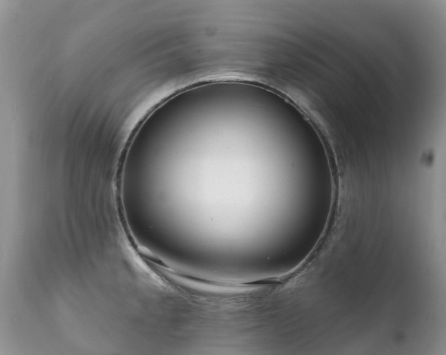 X0000112101189200908111410