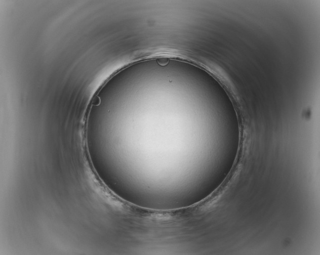 X0000112101190200908111410