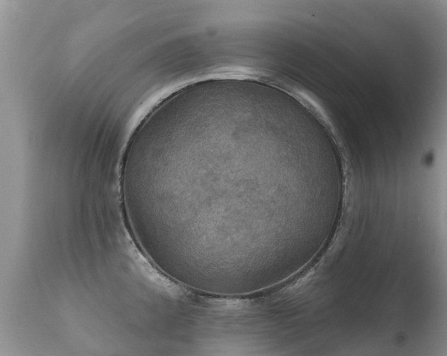 X0000112101192200908111410