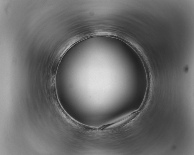 X0000112101193200908111410
