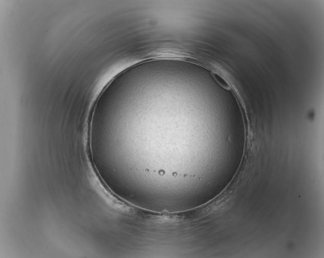X0000112101195200908111410