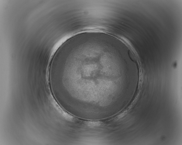 X0000112101196200908111410