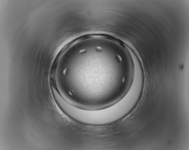 X0000112101197200908111410