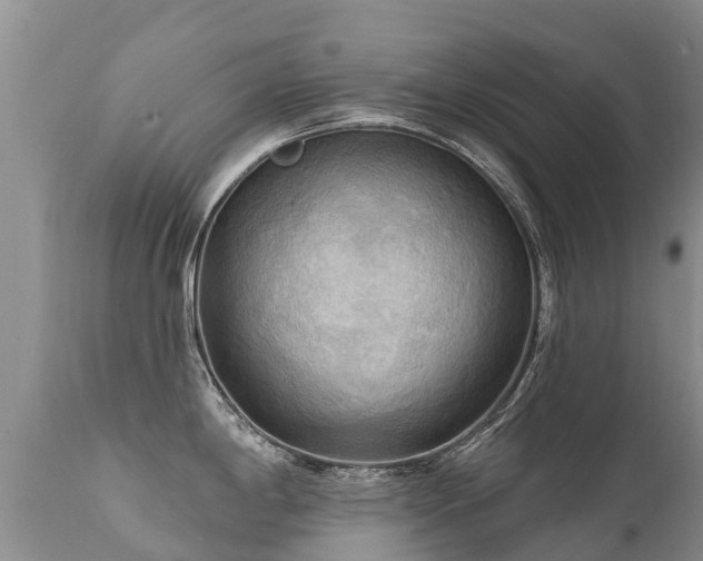 X0000112101198200908111410
