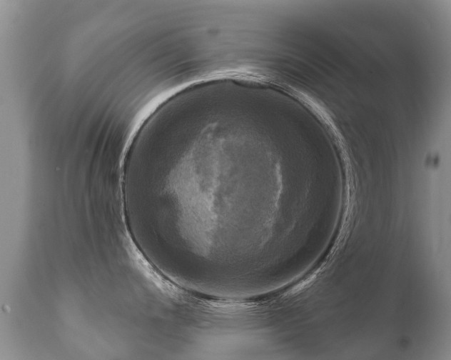 X0000112101200200908111410