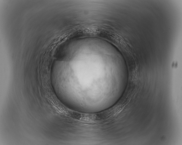 X0000112101201200908111409