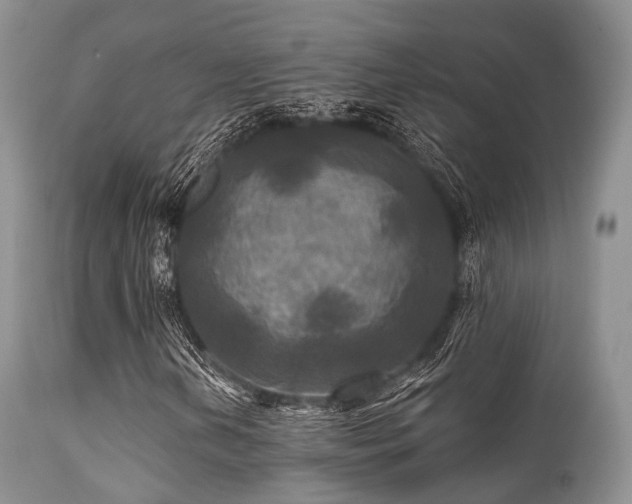 X0000112101202200908111409