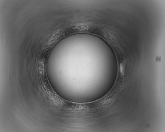 X0000112101203200908111409