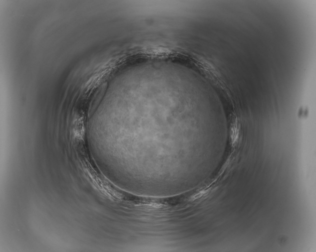 X0000112101204200908111409