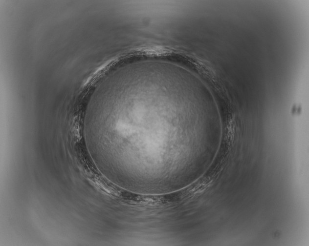X0000112101205200908111409