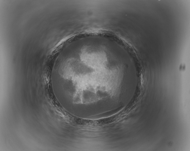 X0000112101206200908111409