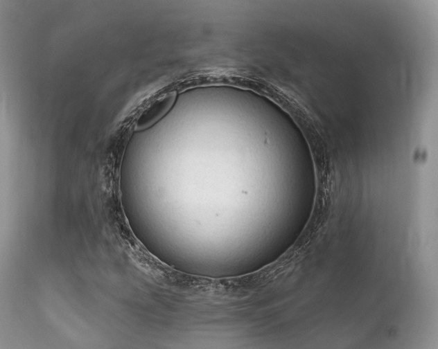 X0000112101207200908111409